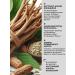 No brand Nourishing shampoo with ginseng root 450 ml - Buy Online on GoSupps.com