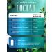 NSOrganic Nootropic complex - hedgehog Gotha Kola and Gingko Biloba - Buy Online on GoSupps.com