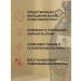 SOHHO Shampoo against hair loss with camellia oil - Buy Online on GoSupps.com