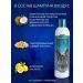 BioGroom Shampoo for the volume of Extra Body concentrate 1 to 4 3.8 liters - Buy Online on GoSupps.com