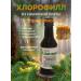 Your Traditions Chlorophyll liquid food for immunity with propolis 250ml