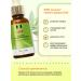 Antifungal and Tea Tree Oil Nail Fungus Treatment Kit - Buy Online on GoSupps.com