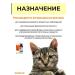 Farmavit Neo A complex of vitamins for elderly cats 5 l - Buy Online on GoSupps.com
