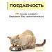 Farmavit Neo A complex of vitamins for elderly cats 10 l - Buy Online on GoSupps.com