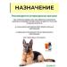 Farmavit NEO Complex of vitamins for dogs 3 - Buy Online on GoSupps.com