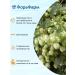 TD ForaPharm Dr. Myasnikov Panthenol after Zagar - Buy Online on GoSupps.com