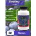 BiotikaS Blueberry - has an anti -sclerotic effect