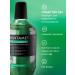 DENTAMET Fluid for irrigator with menthol concentrate solution - Buy Online on GoSupps.com