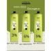 L'Oreal inoa hair dye 6.0 60 ml 2pcs - Buy Online on GoSupps.com