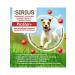 SIRIUS Dry feed for dogs of small breeds turkey rice 2 kg 4 pcs - Buy Online on GoSupps.com