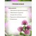Sage Clover meadow grass 2 pcs. Healing herbs phytochai - Buy Online on GoSupps.com