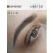 SHEFER Pigment for permanent tattooing eyebrows brunette - Buy Online on GoSupps.com