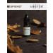 SHEFER Pigment for permanent tattooing eyebrows brunette - Buy Online on GoSupps.com