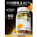 aTech nutrition Omega 3 65% Fish fat 90 capsules