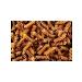 Barilla Macarone products Integrale Fusilli 450g - Buy Online on GoSupps.com