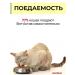 Vit-Active A complex of vitamins for castrated cats and cats 2 - Buy Online on GoSupps.com
