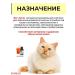 Vit-Active A complex of vitamins for cats Formula Health 10 U - Buy Online on GoSupps.com