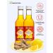 Bioinventica Ginger syrup with lemon 250 ml 2 boots