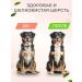 Bobik and Murka Vitamins for dogs of the health of the skin and wool of beef 100 pcs - Buy Online on GoSupps.com