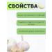 Kyolic Garlic extract 100 tablets - Buy Online on GoSupps.com