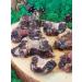 Zoopeet Tail beef 300 grams of dogs for dogs - Buy Online on GoSupps.com