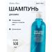 Aesthetic House Hair shampoo cooling Head Spa Cool Mint Shampoo
