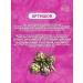 bee and man Artichoke leaves in capsules - Buy Online on GoSupps.com