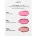 INGLOT Silk blush for the face Rosie Cheeks Blush No. 17 - Buy Online on GoSupps.com