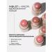 INGLOT Cream blush in the stick Cream Stick Blush No. 210 - Buy Online on GoSupps.com