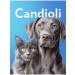 Candioli Glutamax Forte Fod additive for gastrointestinal tract cats and dogs - Buy Online on GoSupps.com
