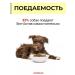 Vit-Active Complex of vitamins for dogs Formula Health 10 U - Buy Online on GoSupps.com