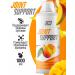 2SN Glucosamine chondroitin MSM 1000ml mango
