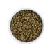 Florida Gastrointestinal dry food for cats for gastrointestinal tract 1.5 kg - Buy Online on GoSupps.com