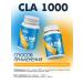 VPLab Fat burner CLA 1000 for weight loss 90 capsules - Buy Online on GoSupps.com
