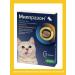 KRKA Milprazon Antigelmintic for cats and kittens - Buy Online on GoSupps.com