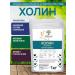 Agroalliance Fod additive choline chloride (vitamin B4)