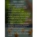 PHARMSTANDARD Vitamins Revit for adults and children 3+ 100 pranks*2UP - Buy Online on GoSupps.com