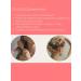 Dr Althea Perfumed shampoo for all types of hair Jeju Camellia - Buy Online on GoSupps.com