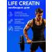 Tree of Life Creatine monohydrate is clean powder 500 grams - Buy Online on GoSupps.com