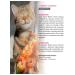 Japan Premium Pet Wet food for the beauty of cat wool 3pc x 70g - Buy Online on GoSupps.com