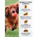 UNITABS Vitamin complex with Q10 calcium phosphorus for dogs 200 t - Buy Online on GoSupps.com
