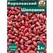 profitable and tasty Rosehip Royal Harvest 2024! 1kg