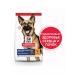 HILL'S Feed for the elderly dog of large breeds 14kg - Buy Online on GoSupps.com