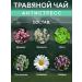 Taigor Siberian herbal tea anti -stress from Altai herbs - Buy Online on GoSupps.com