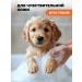 SPETS Foiled shampoo for kittens and puppies hypoallergenic 200 ml - Buy Online on GoSupps.com
