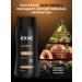 Exxe MEN ENERGY+Fresh shampoos set 400 ml 4 pcs - Buy Online on GoSupps.com