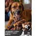 FOR RODENT DOG Dog treats bull root (base) 10 cm 1000 g - Buy Online on GoSupps.com