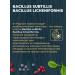 Native feeds Dry food for cats with sensitive digestion of 10 kg - Buy Online on GoSupps.com