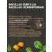 Native feeds Dry food for small dogs with turkey 2 kg - Buy Online on GoSupps.com