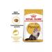 ROYAL CANIN Persian dry food for adult Persian cats 2 kg - Buy Online on GoSupps.com